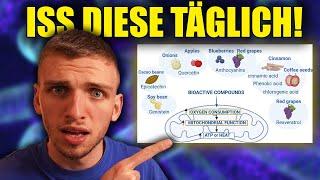 7 Lebensmittel, Die Deine Mitochondrien ERNEUERN