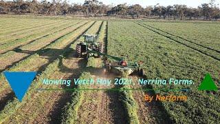 Vetch Hay 2021