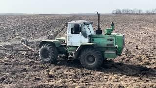 Т-150К закриває вологу старими боронами | Чи є від них користь? 4К