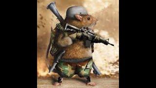 Applying to be a RAT SOLDIER