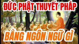 Đức Phật thuyết pháp bằng ngôn ngữ gì?