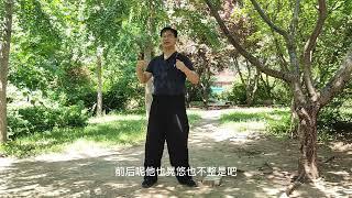 意拳（大成拳）整体力与六面力的原理 #武术  #大成拳  #干货分享  #教学