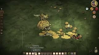 Соло Пчелиная матка без пороха и ловушек в Don't Starve Together