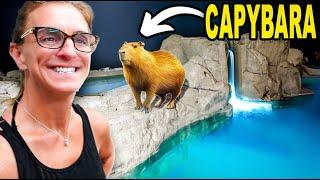 DIY Building The Ultimate Capybara Paradise! Pt. 2