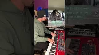 Собака и пианист. Dog and pianist. French fuse.