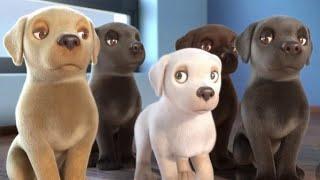 Pip | A Short Animated Film by Southeastern Guide Dogs/beauty pets.#Guidedog