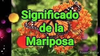 #MARIPOSAS Y SUS SIGNIFICADO Espiritual #https://store34717084.company.site/