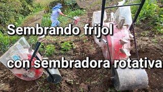 Siembra de frijol con la sembradora abonadora rotativa