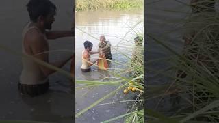 Fishing in Village #funny #fishing #bestvideo