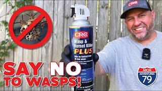 Eliminate Pesky Stinging Insects! CRC Wasp & Hornet Killer