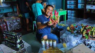 How To Start A Pet Shop Business│ UNBOXING PETSHOP ITEMS worth 300 thousand pesos