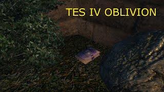 Утраченные истории TES IV Oblivion #10