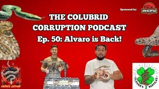 What's New at Clover's Reptiles w/ Alvaro Linares | The Colubrid Corruption Podcast | Ep. 50