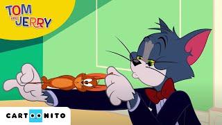 Tom und Jerry | Neue Nachbarschaft | Cartoonito