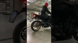 Triumph street triple 675 + dominator exhaust system gp sound popcorn fire