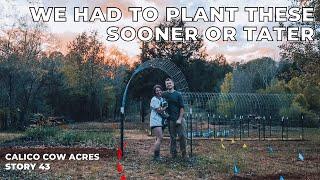 Beginner Gardening - Planting Potatoes on our 8 Acre Homestead