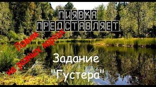 ГУСТЕРА ловим на разных локациях #MyFishingworld