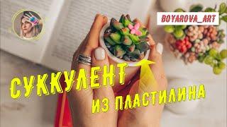 DIY Суккуленты своими руками / Пластилин / Boyarova_art