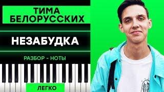 Тима Белорусских - Незабудка - Легко на Пианино