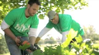 Munich Re America Day of Service