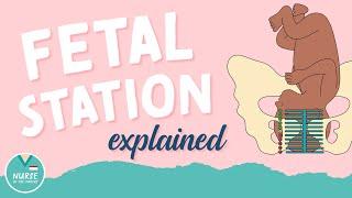 Fetal Station Overview | Mother Baby Nursing | NurseInTheMaking