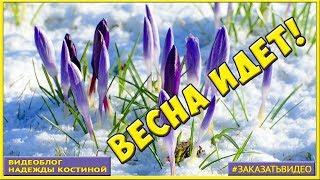 Весна идёт! Красивое поздравление с весной | Музыкальная видео открытка с весной