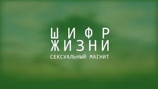 Сексуальный магнит, только для женщин! Программирование во сне. Аффирмации. 8 часов. Секс аффирмации