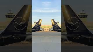 Explore how these worlds collide in perfect harmony. | Lufthansa