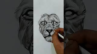 Realistic Pencil Drawing | Lion Face Drawing #artwork #shorts