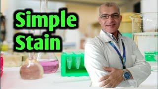 Bacterial Simple Stain Procedure