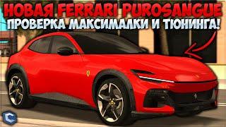 КУПИЛ НОВУЮ FERRARI PUROSANGUE ЗА 600,000$! ОБЗОР ТОПОВОГО SUV, МАКСИМАЛКА И ТЮНИНГ! — CCDPlanet