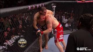 Cain Velasquez vs  Brock Lesnar