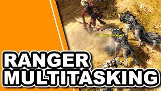 How to multitask as a Ranger | Drakensang Online