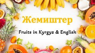 Жемиштер - Fruits in Kyrgyz & English