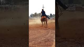 #nsca #omoksee #horse #rodeo #horseshow #western #westernriding #aqha #youtubeshorts #subscribe