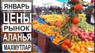 Турция: Продуктовый рынок. Цены и ассортимент. Клубника в январе. Аланья и Махмутлар