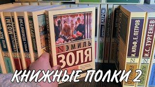 КНИЖНЫЕ ПОЛКИ 2. Эксклюзивная классика, нелюбимая полка, книги с иллюстрациями