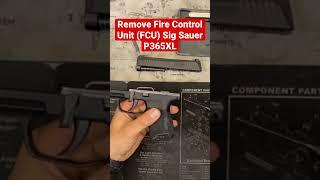 Removing The Fire Control Unit (FCU) Sig Sauer P365XL