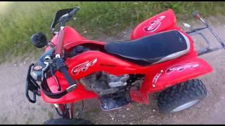 Open Season Bashan bs7 with Atv 125