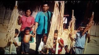 Pueblos indígenas de Colombia. Sabiduría de la Naturaleza