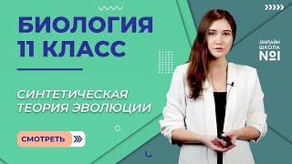 Синтетическая теория эволюции. Видеоурок 3. Биология 11 класс