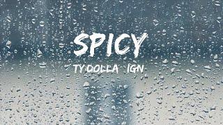 Ty Dolla $ign - Spicy (Lyrics) (feat. Post Malone)  | Lyric / Letra