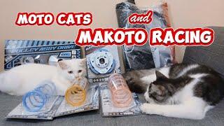 Cute Moto Cats and my Makoto Racing Parts - Makoto Philippines