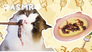 ASMR Cat, Lion cat tries quail for the first time.