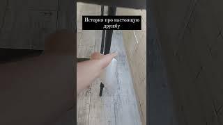 История про настоящую дружбу