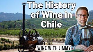 The History of Wine in Chile