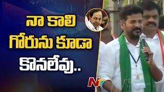 Revanth Reddy Fires On CM KCR | Ntv