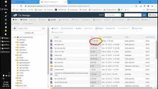 How to Fix Full CPanel Disk Usage for Wordpress User