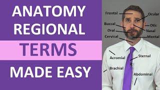 Regional Terms Anatomy - Body Parts Name | Nursing Medical Terminology Made Easy