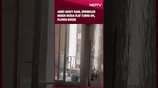 Amid Heavy Rain, Sprinkler Inside Noida Flat Turns On, Floods House